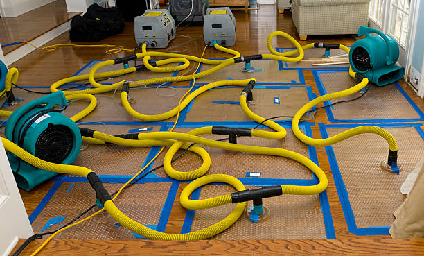 Professional Sewage Cleanup technician working in West Springfield, PA